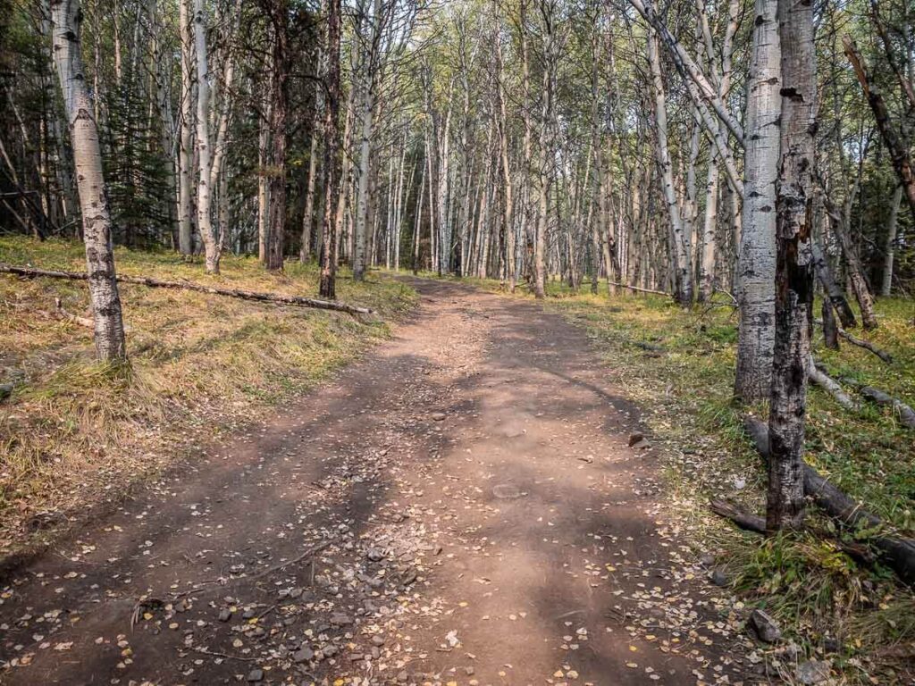 kananaskis hiking trails - Troll Falls hike near Canmore