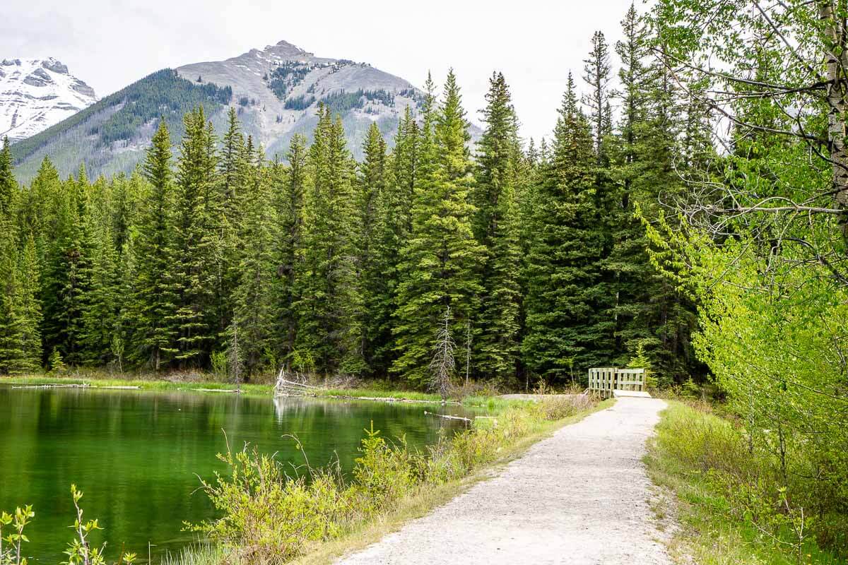 easy hikes in Alberta - Johnson Lake in Banff Johnson Lake Trail Banff Canada