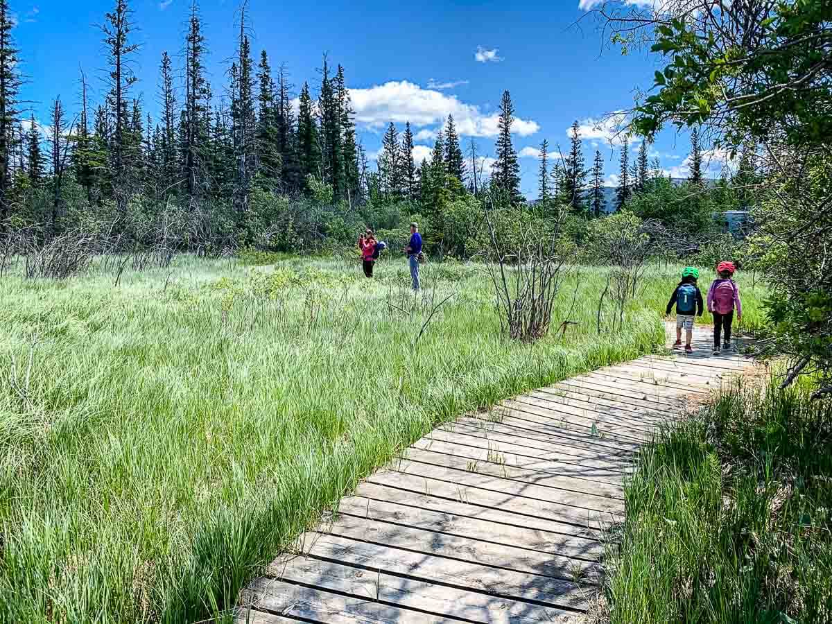 Wooden boardwalk on Flowing Water hiking trail Kananaskis