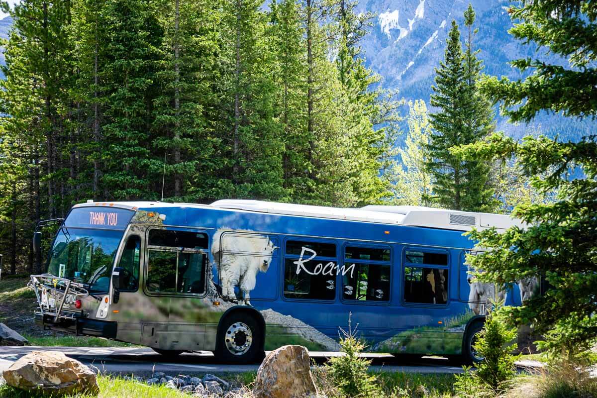 Roam Transit to Lake Minnewanka Banff