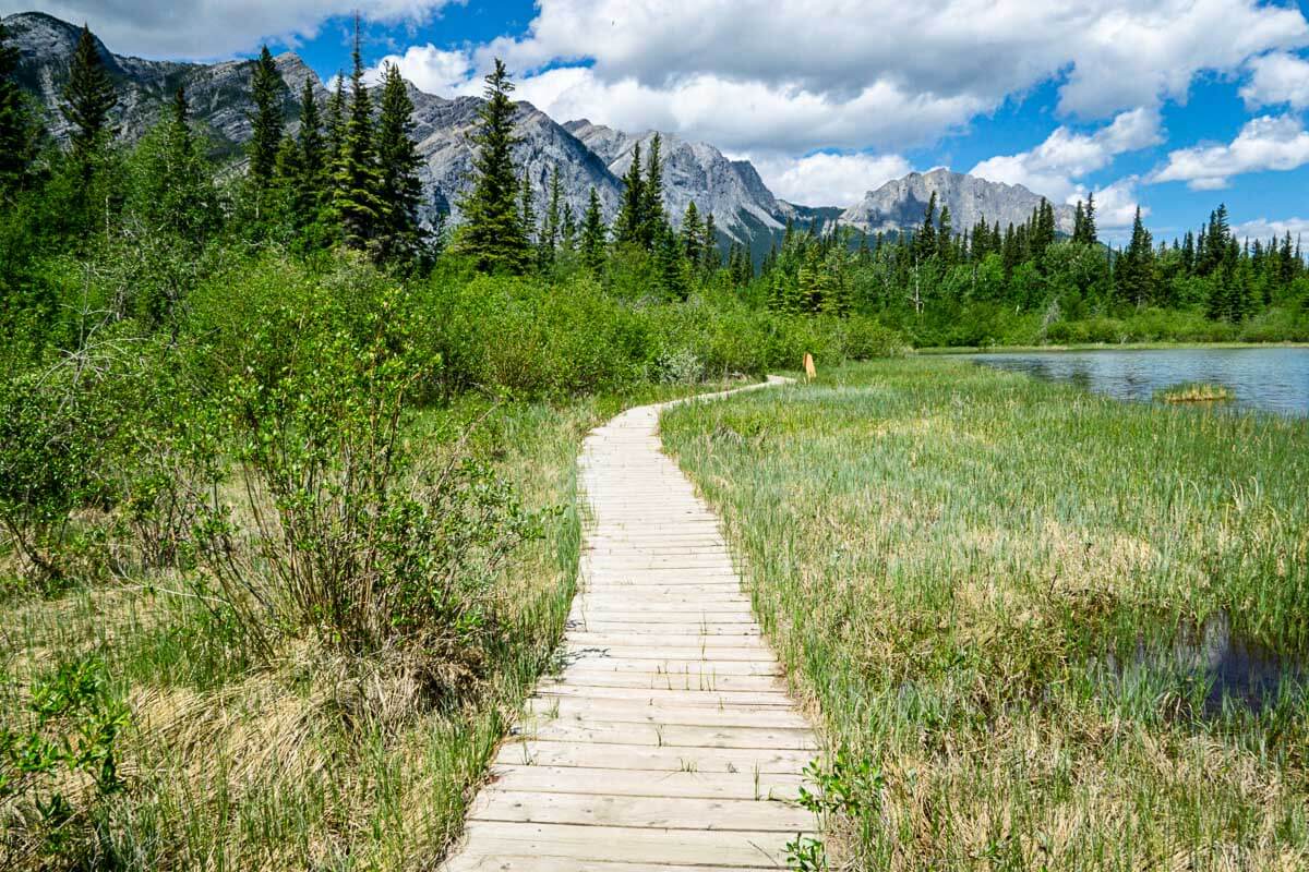 Boardwalk on Many Springs - easy hikes in bow valley provincial park