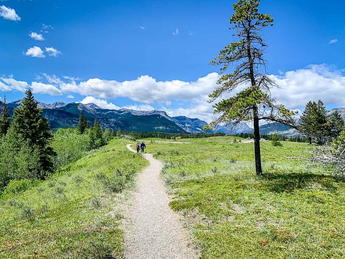 13 Easy Kananaskis Hikes You’ll Love Travel Banff Canada