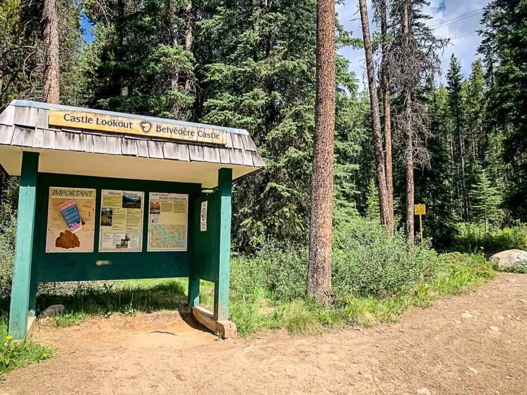 Castle Mountain Lookout Hike in Banff National Park Travel Banff Canada