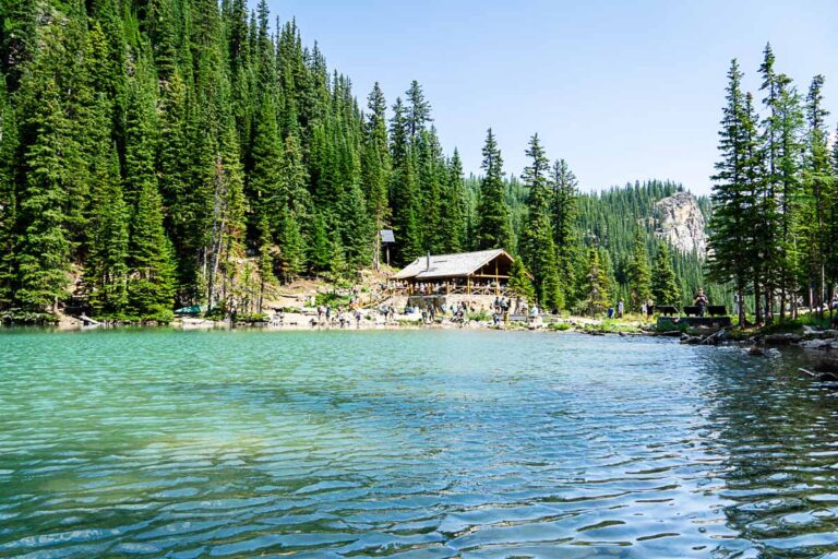 Lake Agnes Tea House Hike A MUSTDO Lake Louise Hike Travel Banff