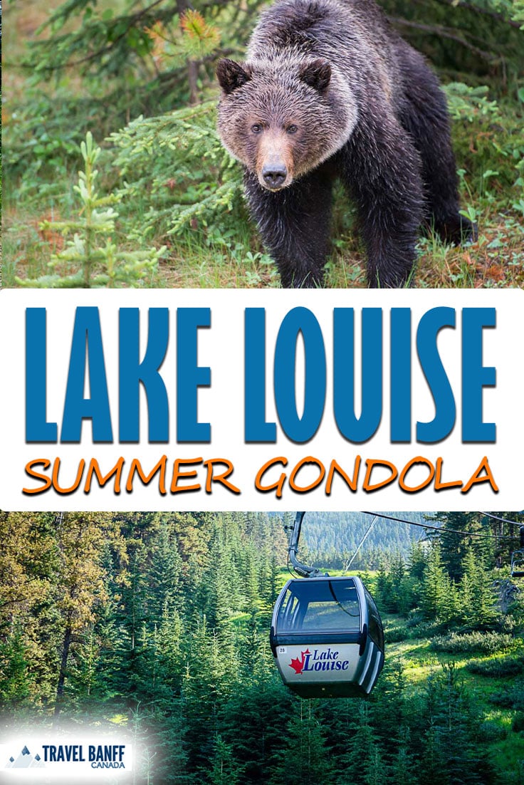 Experience the Lake Louise Summer Gondola! One of the best things to do in Lake Louise in the summer. Visitors can enjoy a sightseeing chairlift to spot grizzly bears, an interpretive centre, dining and even guided hikes. 
