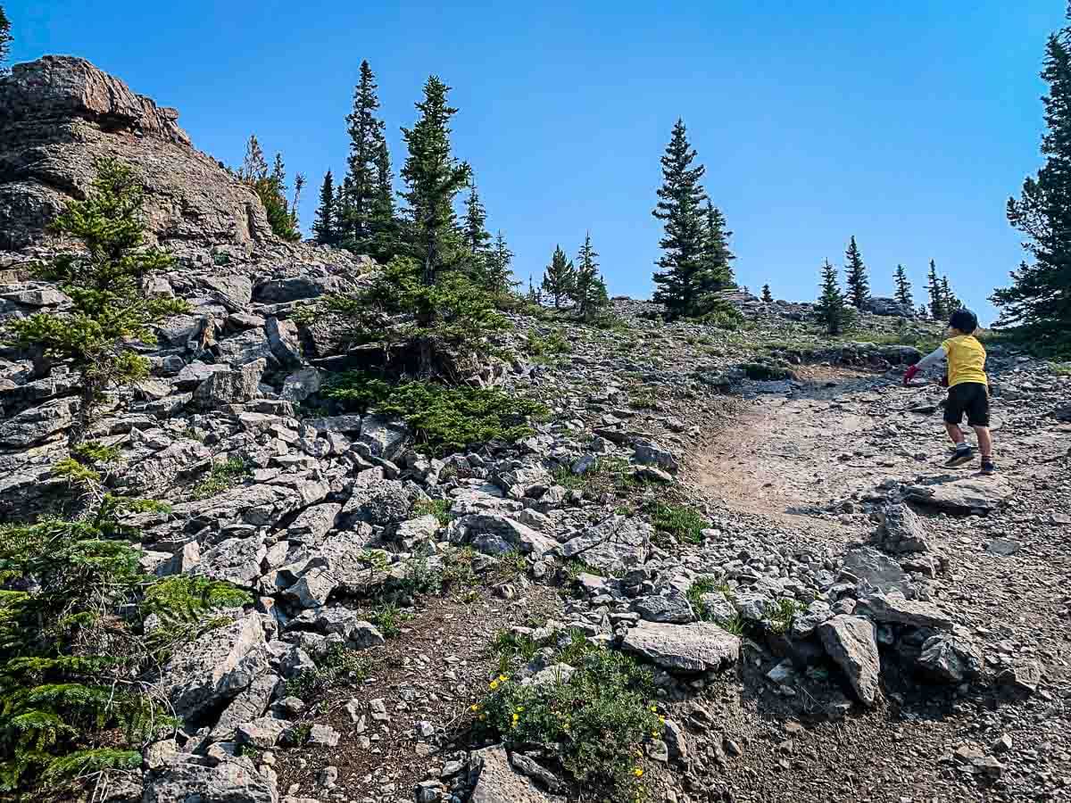 West Wind Pass Hike in Kananaskis
