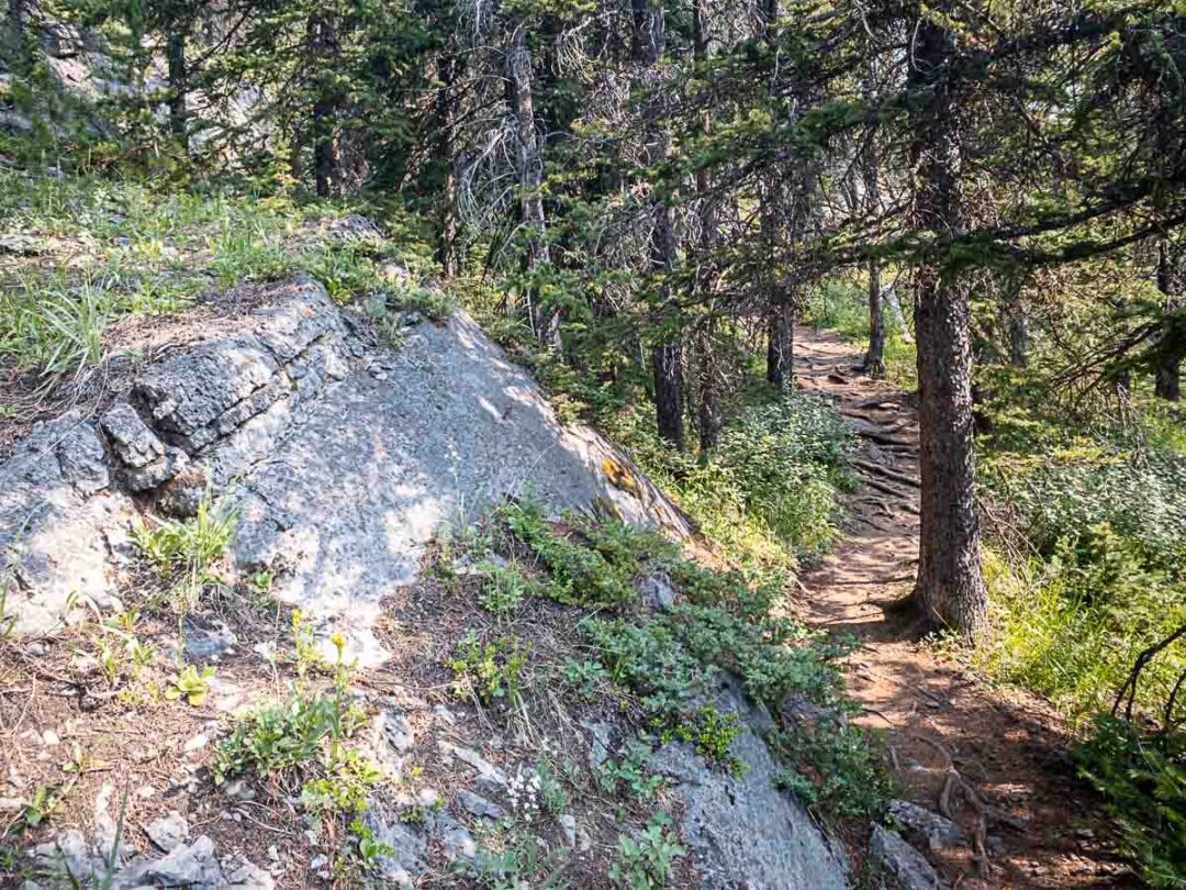 West Wind Pass Hike in Kananaskis
