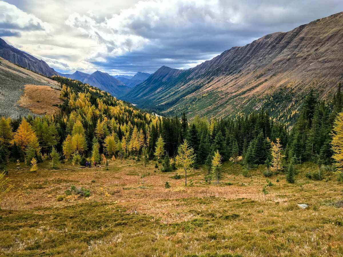 View on Ptarmigan Cirque - best larches hikes Kananaskis