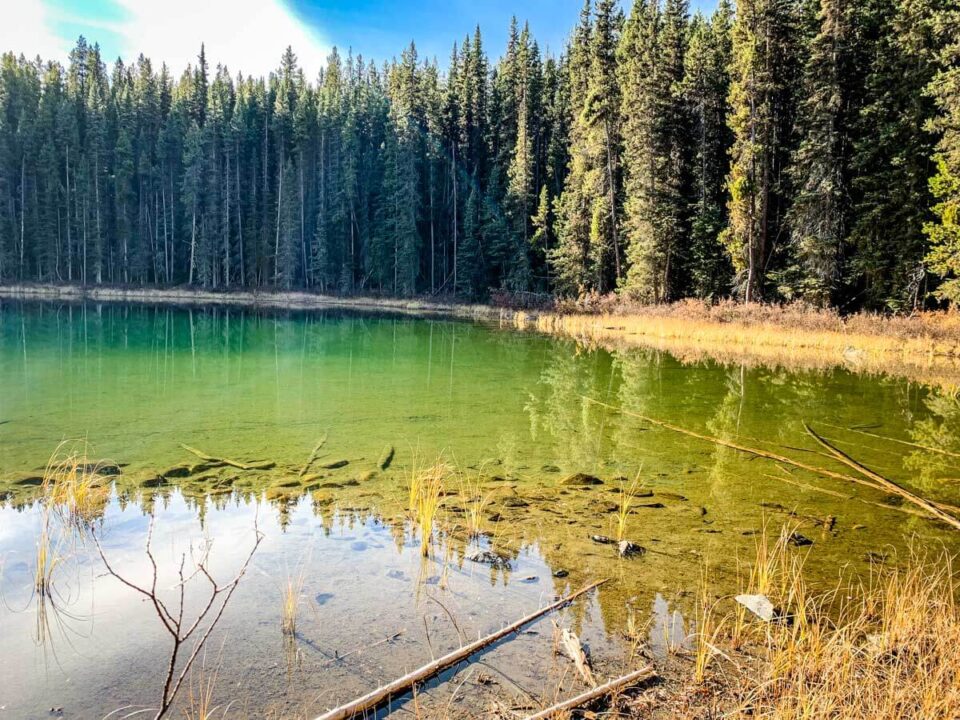 Hike to Copper Lake and Smith Lake in Banff National Park Travel Banff Canada