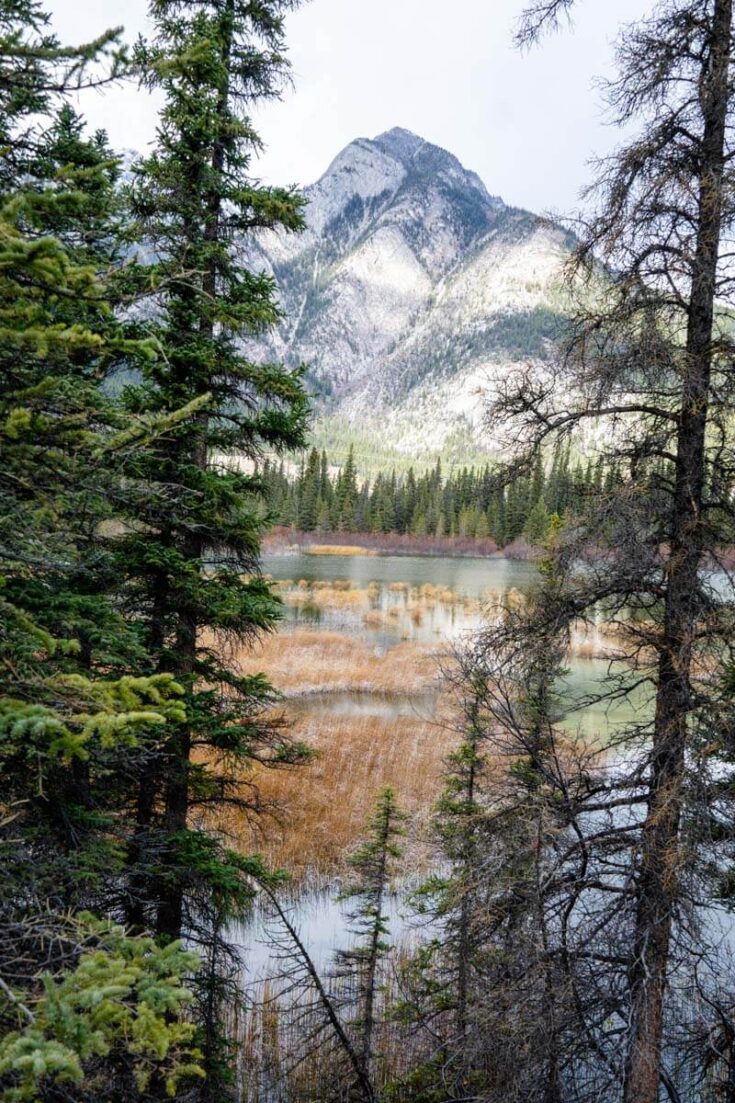 Banff Cave and Basin National Historic Site Travel Banff Canada