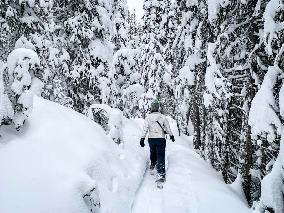 Best Lake Louise Snowshoe Trails Travel Banff Canada