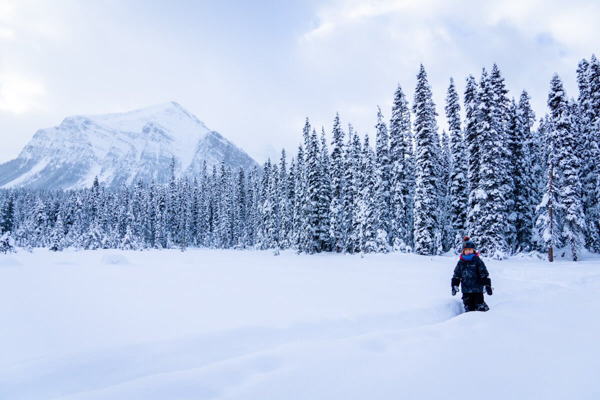 boy snowshoeing in Banff along easy Lake Louise snowshoe trail
