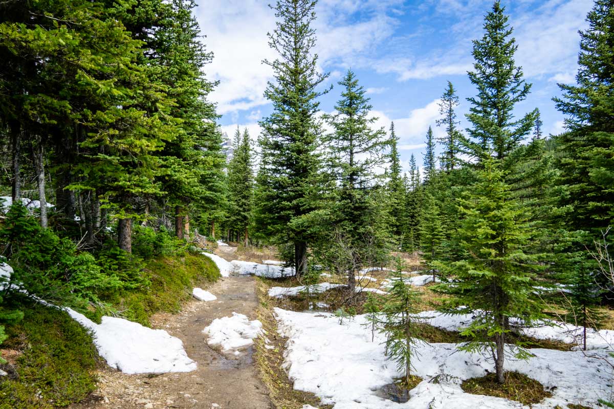 consolation lakes trail conditions