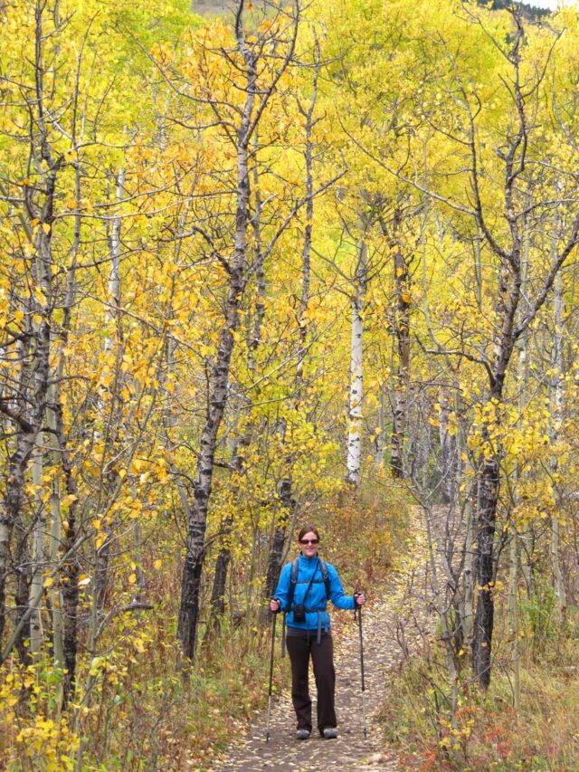 Mount Yamnuska Hike Kananaskis Country Travel Banff Canada