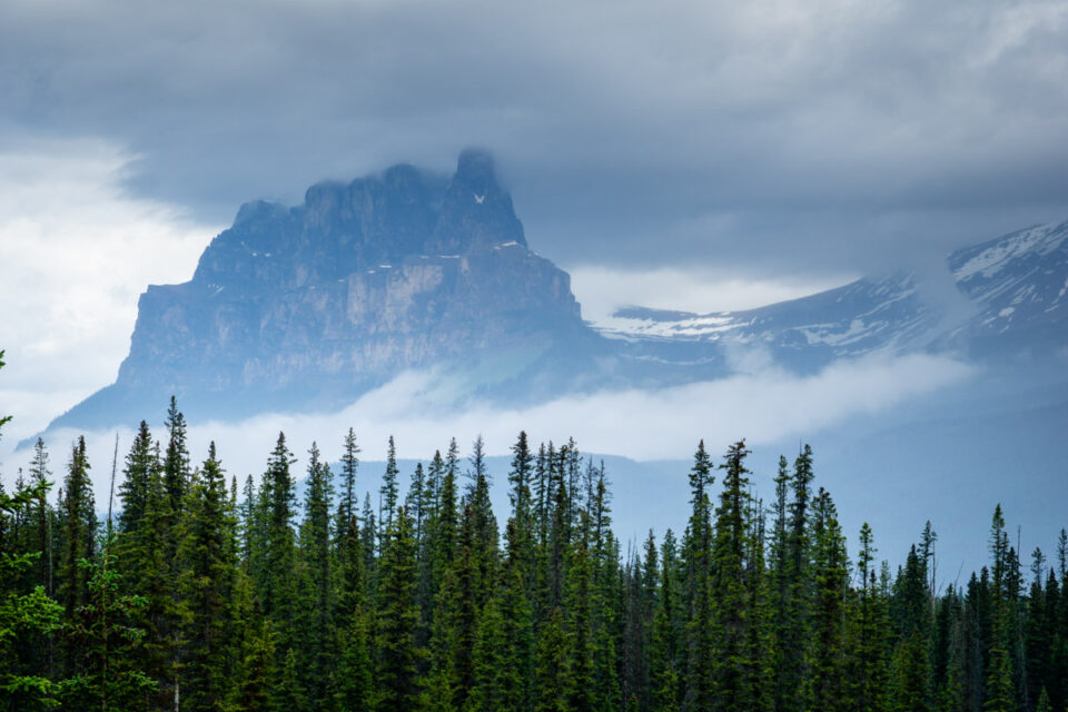 A Complete Guide to the Bow Valley Parkway in Banff National Park