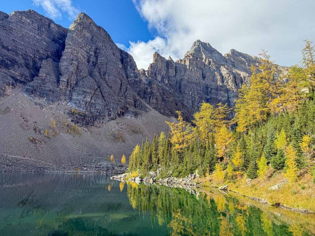 golden larch trees reflect in the still water of Lake Agnes near Lake Louise, Banff