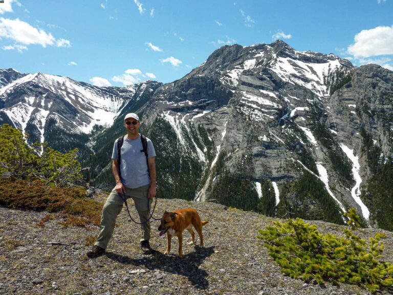 The 6 Best PetFriendly Hotels In Canmore Travel Banff Canada