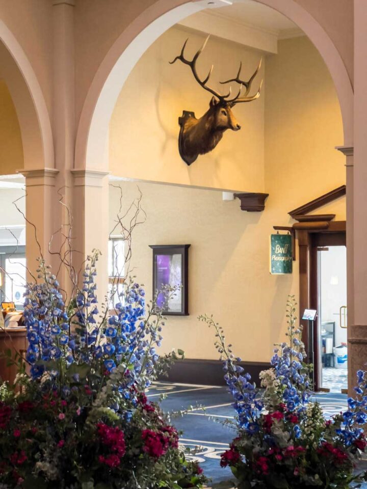 Fairmont Chateau Lake Louise Review - Travel Banff Canada