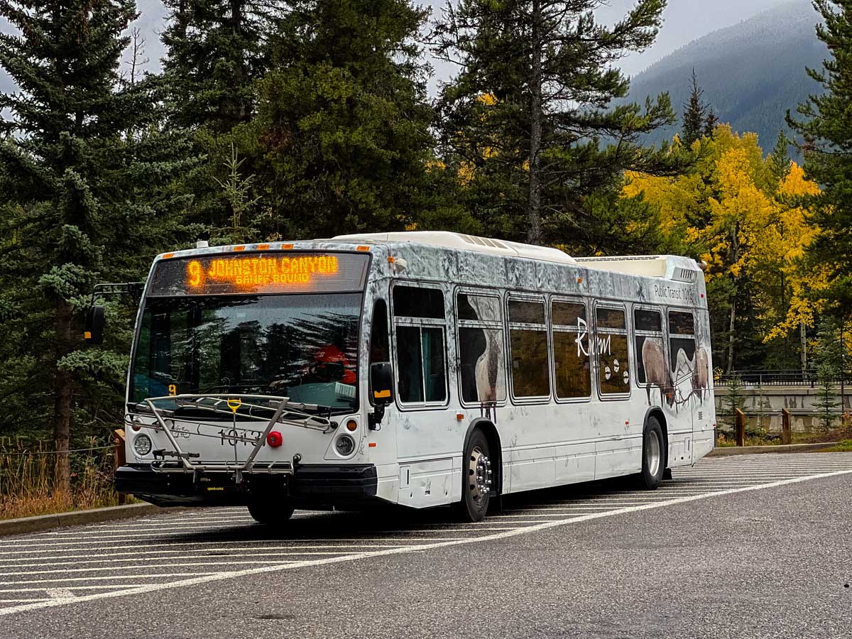 Roam bus that goes from Banff to Johnston Canyon.