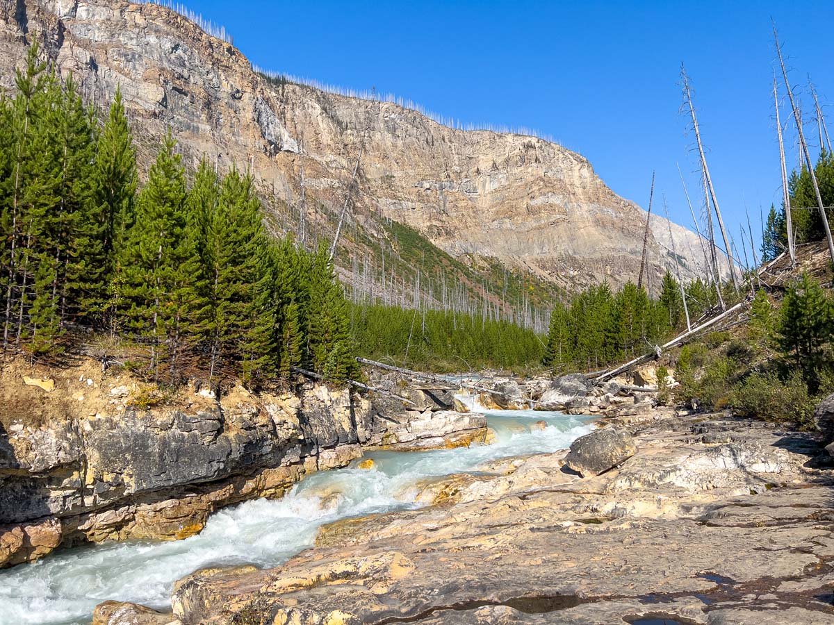 Tokumm Creek flows into Marble Canyon in Kootenay National Park, Canada.