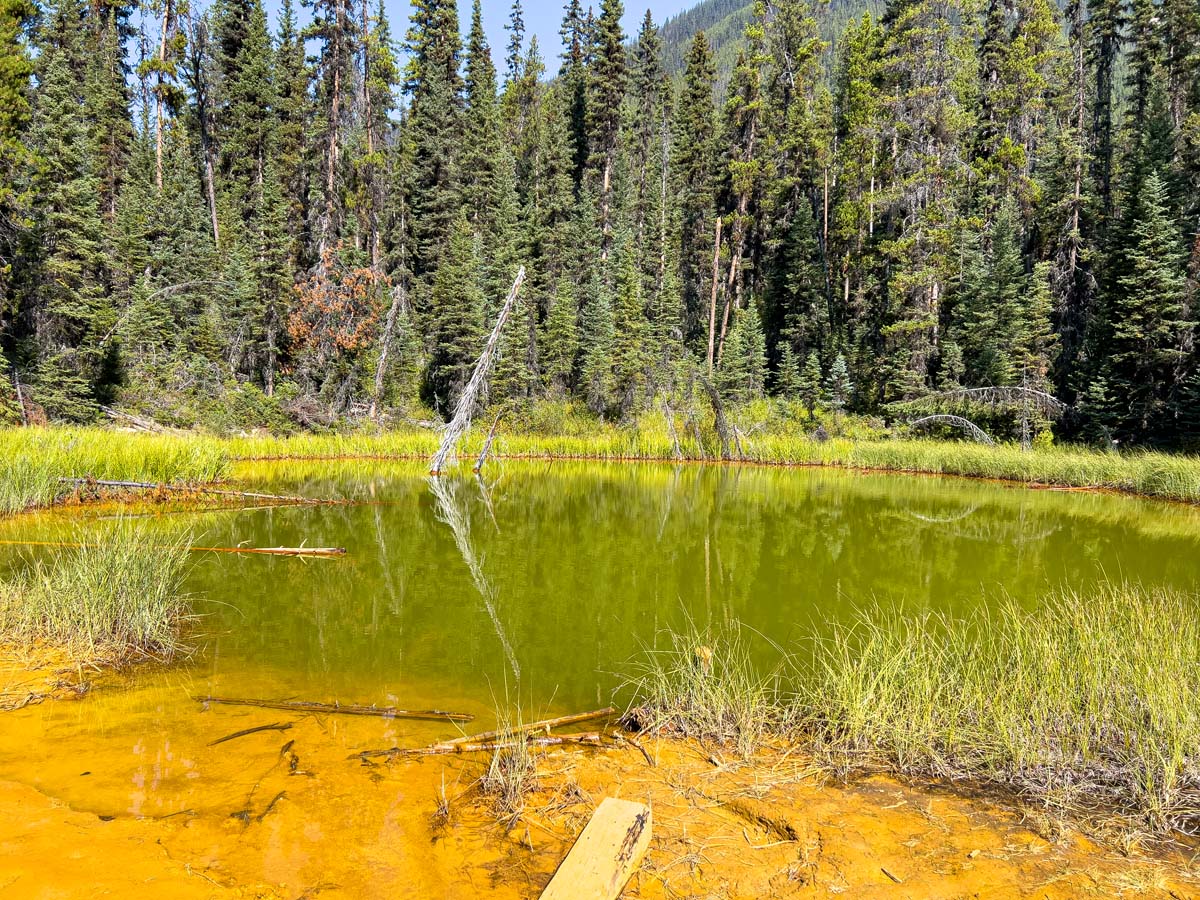 Paint Pots Kootenay National Park Travel Banff Canada