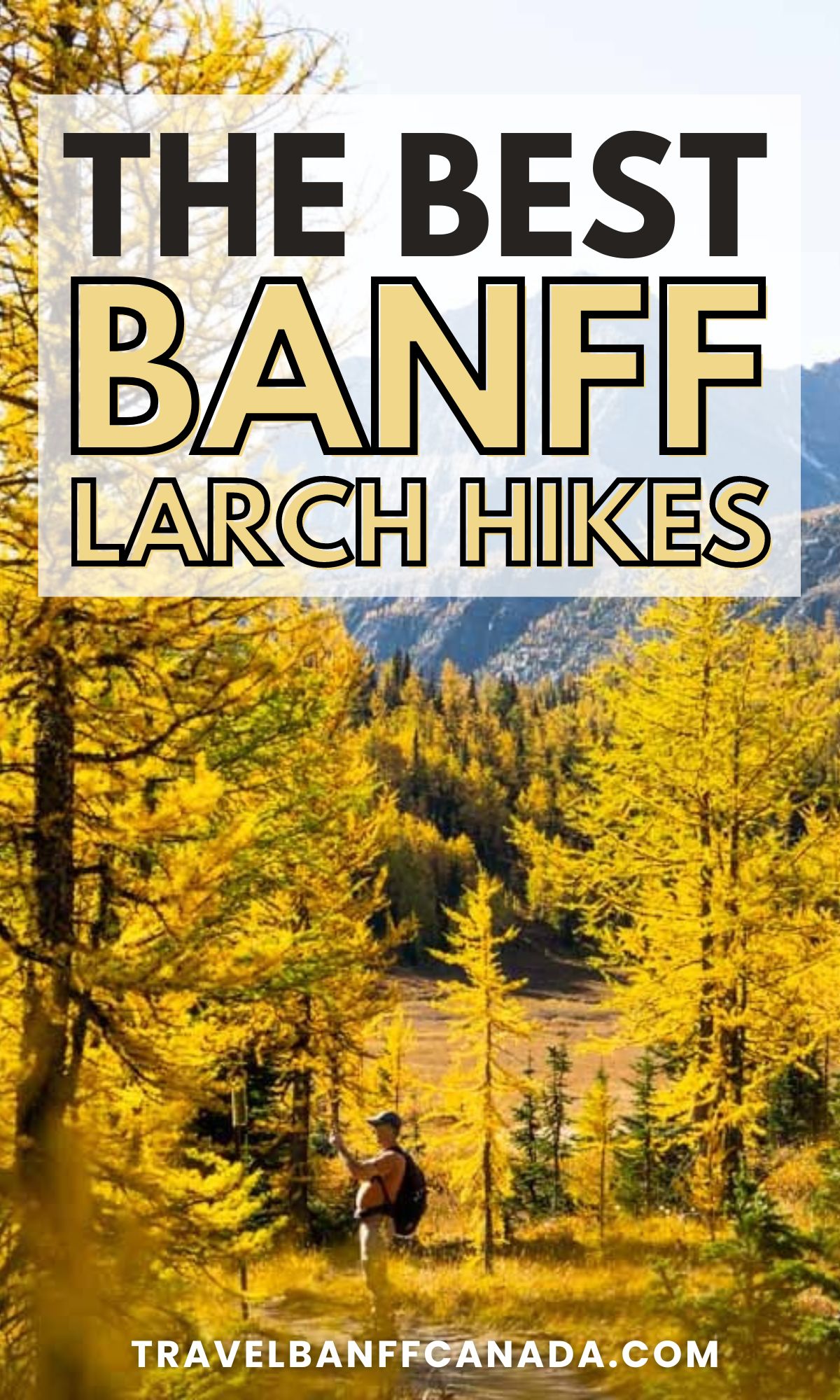 17 Amazing Larch Hikes in Banff National Park