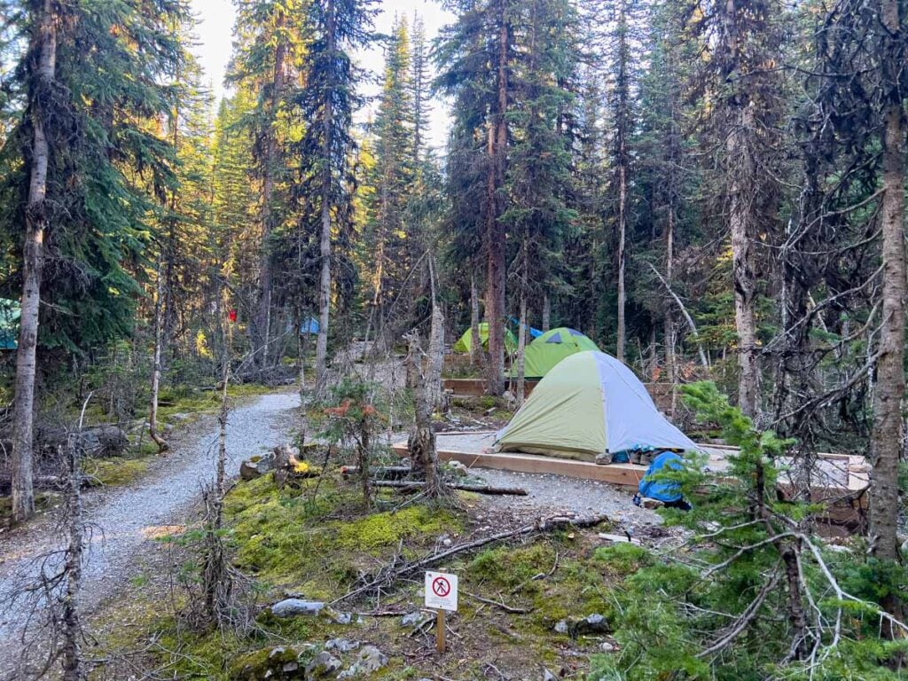 A row of tents at the Lake O'Hara campground in Yoho National Park.
