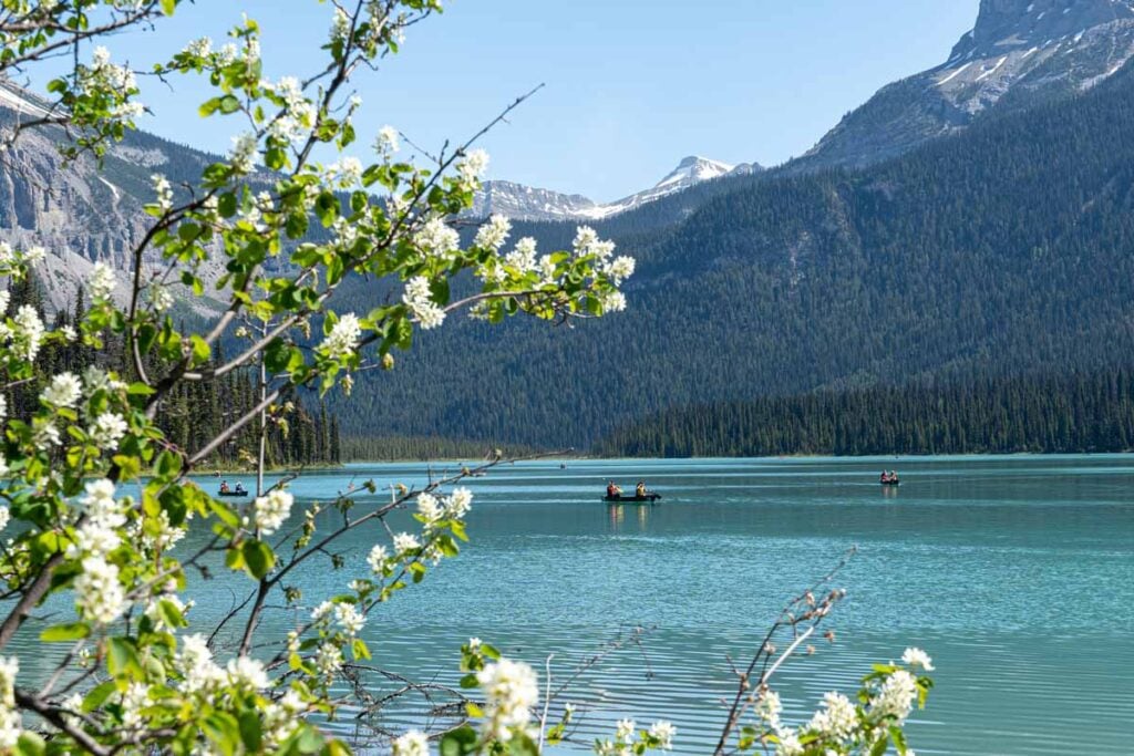 Tourists canoe on Emerald Lake in Yoho National Park, Canada.