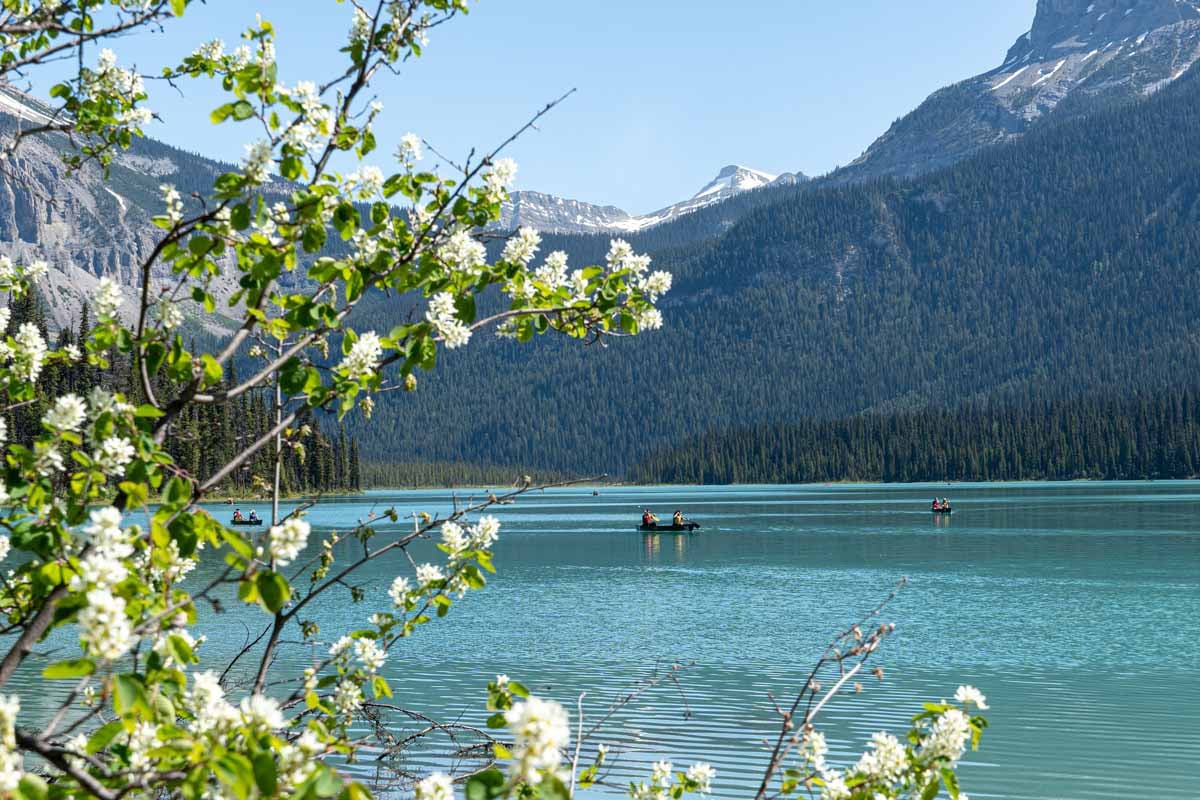 Emerald Lake - Yoho National Park Tourists canoe on Emerald Lake in Yoho National Park, Canada.