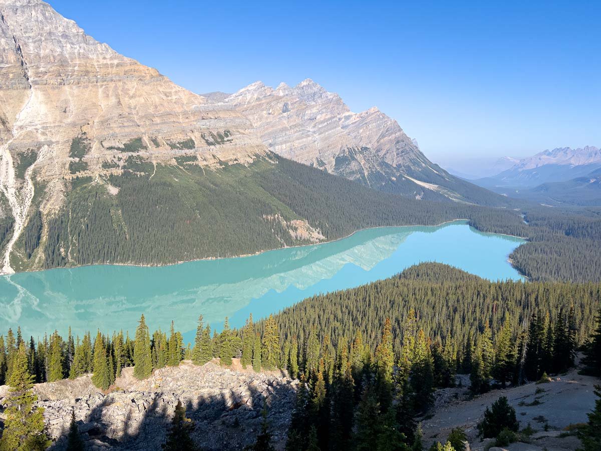 The wolf shaped Peyto Lake in Banff National Park, Canada.