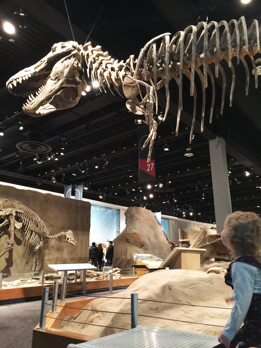 Royal-Tyrrell-Museum Royal Tyrrell Museum (Drumheller)