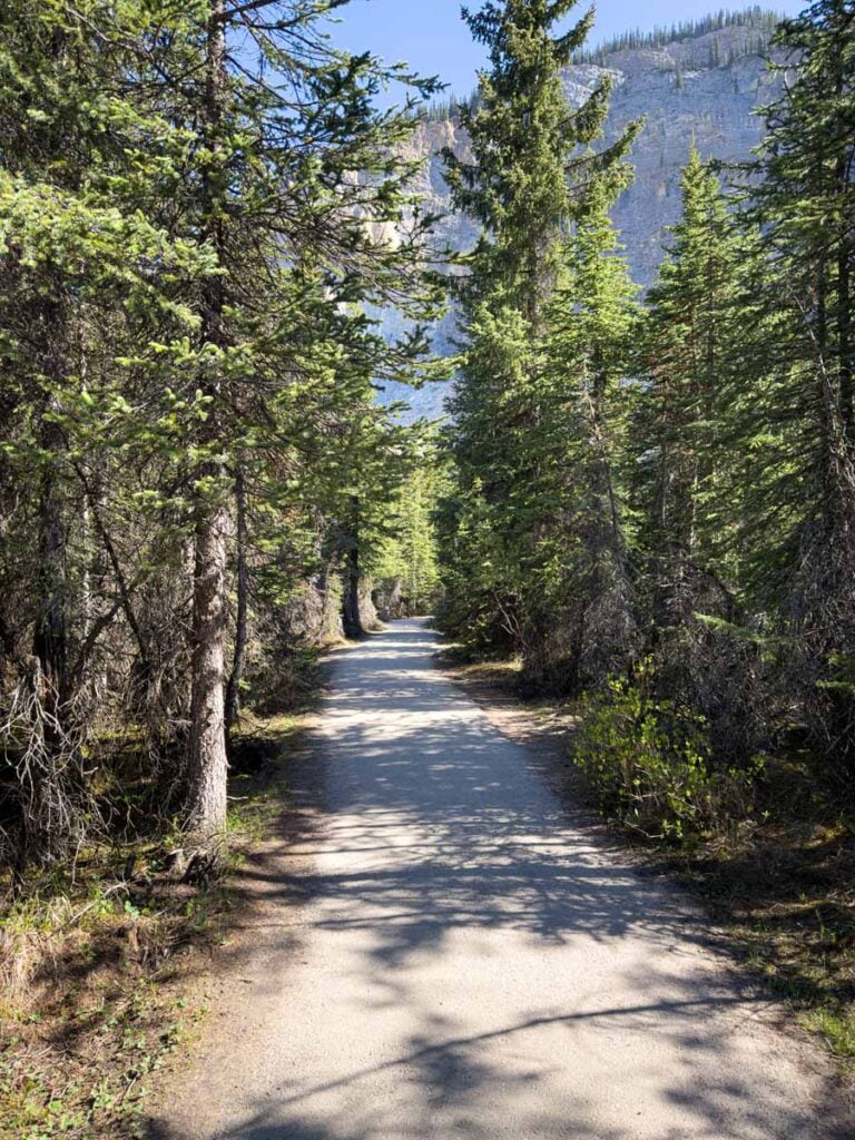 A beautiful paved walking trail to the Takakkaw Falls viewpoint.