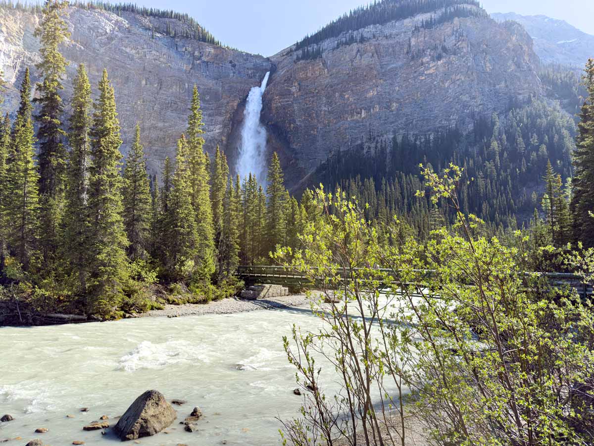 Takakkaw Falls and Yoho River - Yoho National Park