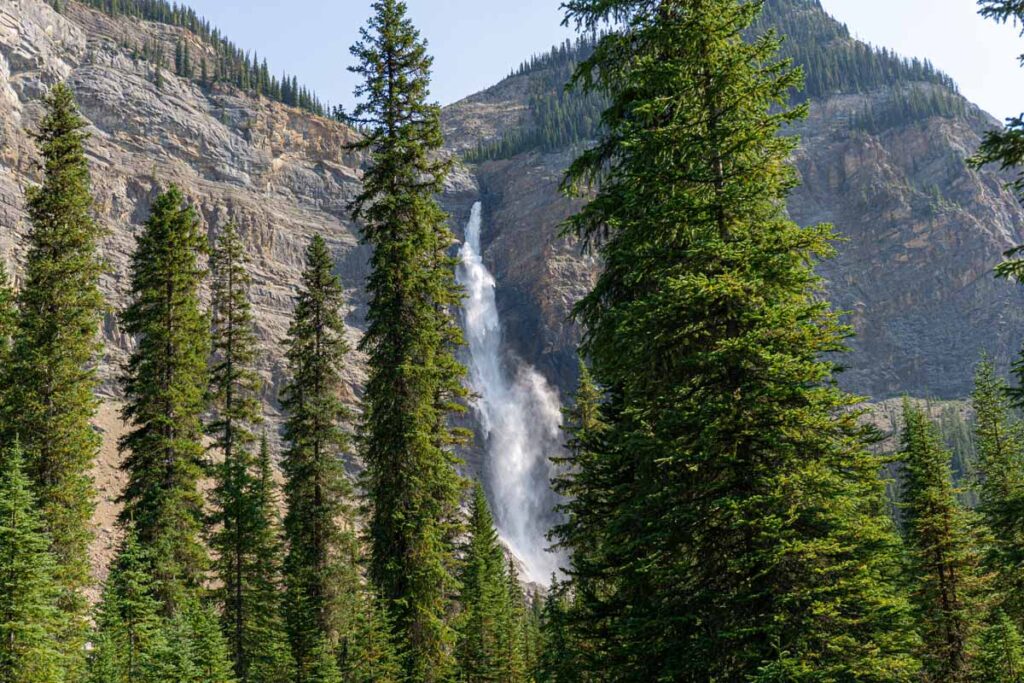 The towering Takakkaw Falls is seen through the forest.
