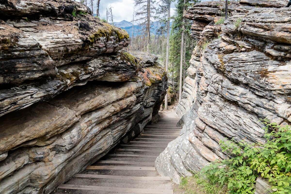 Athabasca Falls in Jasper National Park trail with steps at Athabasca Falls in Jasper along Icefields Parkway