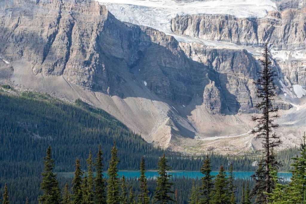 Bow Lake and the Crowfoot Glacier are visible from the Helen Lake Trail, which is just on the other side of the Icefields Parkway in Banff National Park.