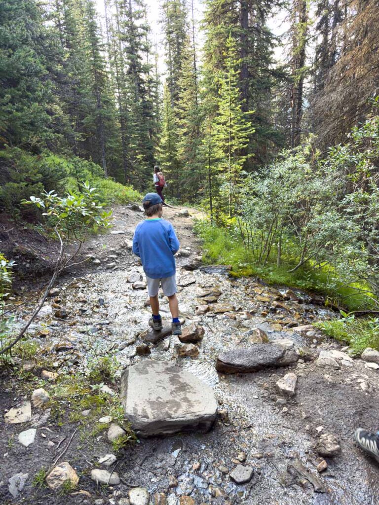 A 10-year old boy is about to cross a creek on the Helen Lake Trail on the Icefields Parkway.