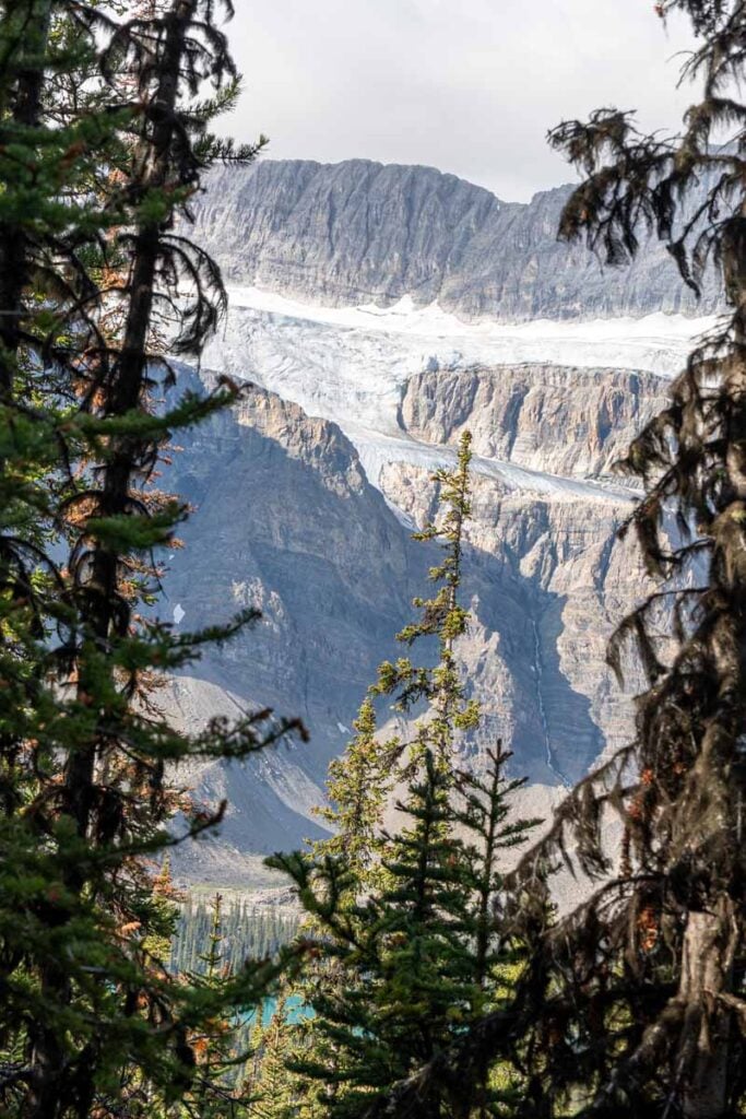 The Crowfoot Glacier is visible from the Helen Lake hiking trail.
