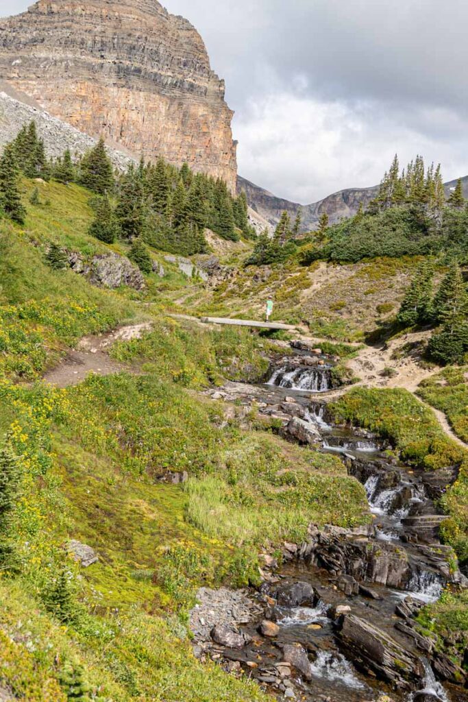 A 10-year old boy crosses a bridge over a beautiful stream while hiking to Helen Lake in Banff National Park.