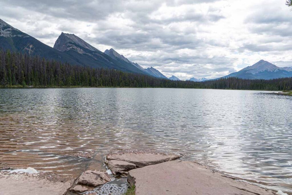 Honeymoon Lake - Icefields Parkway - Jasper National Park