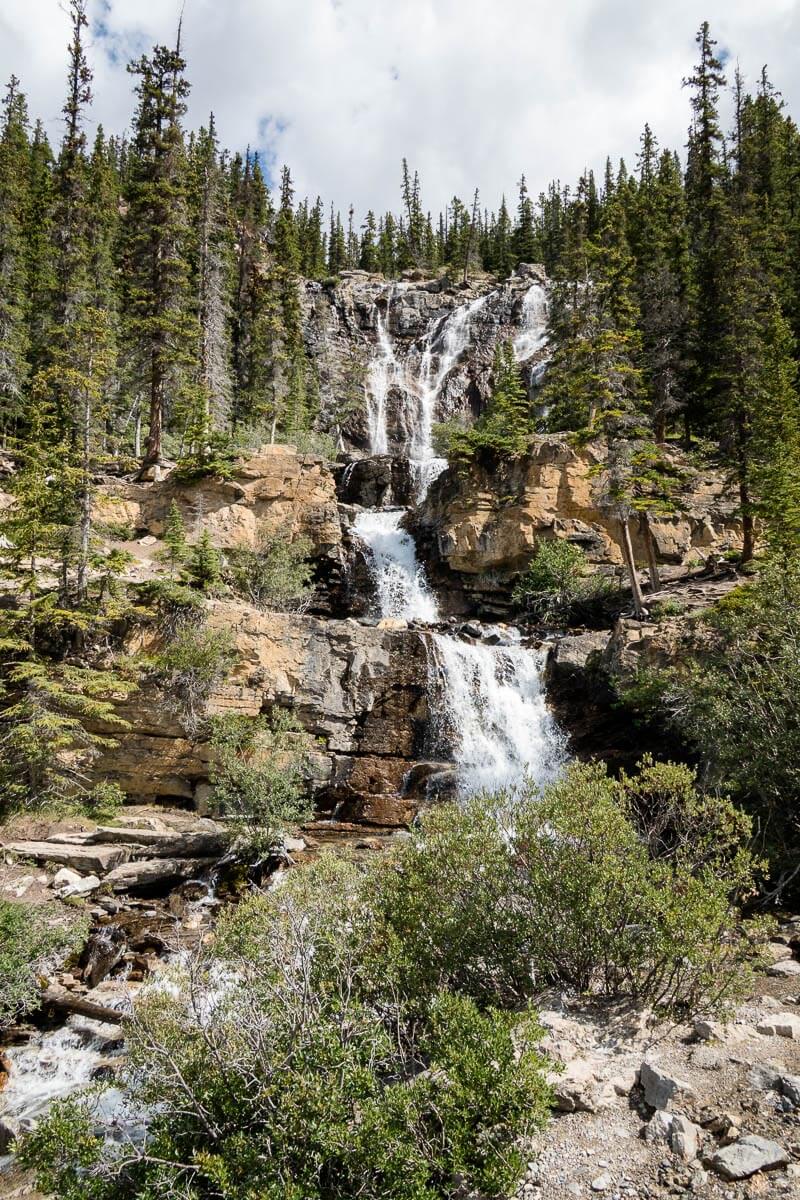 Tangle Creek Falls - Jasper National Park Tangle Creek Falls along the Icefields Parkway in Jasper National Park