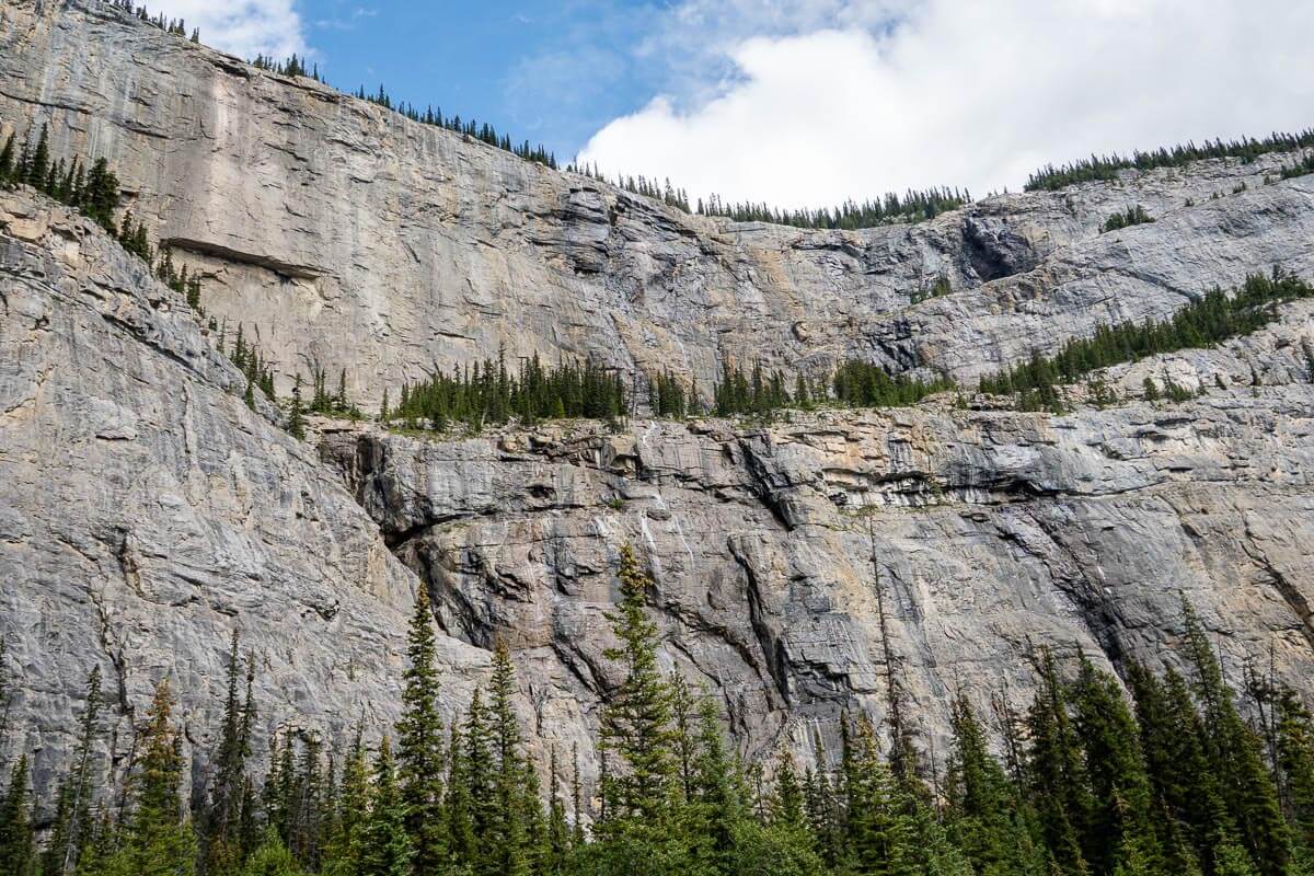 Weeping Wall - Icefields Parkway Weeping Wall viewpoint on Icefields parkway in August