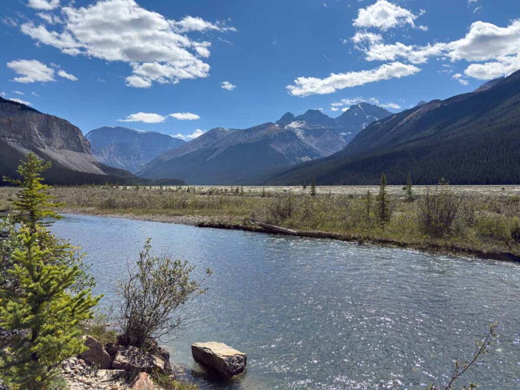 Beauty Creek is surrounded by stunning mountains in Jasper National Park.