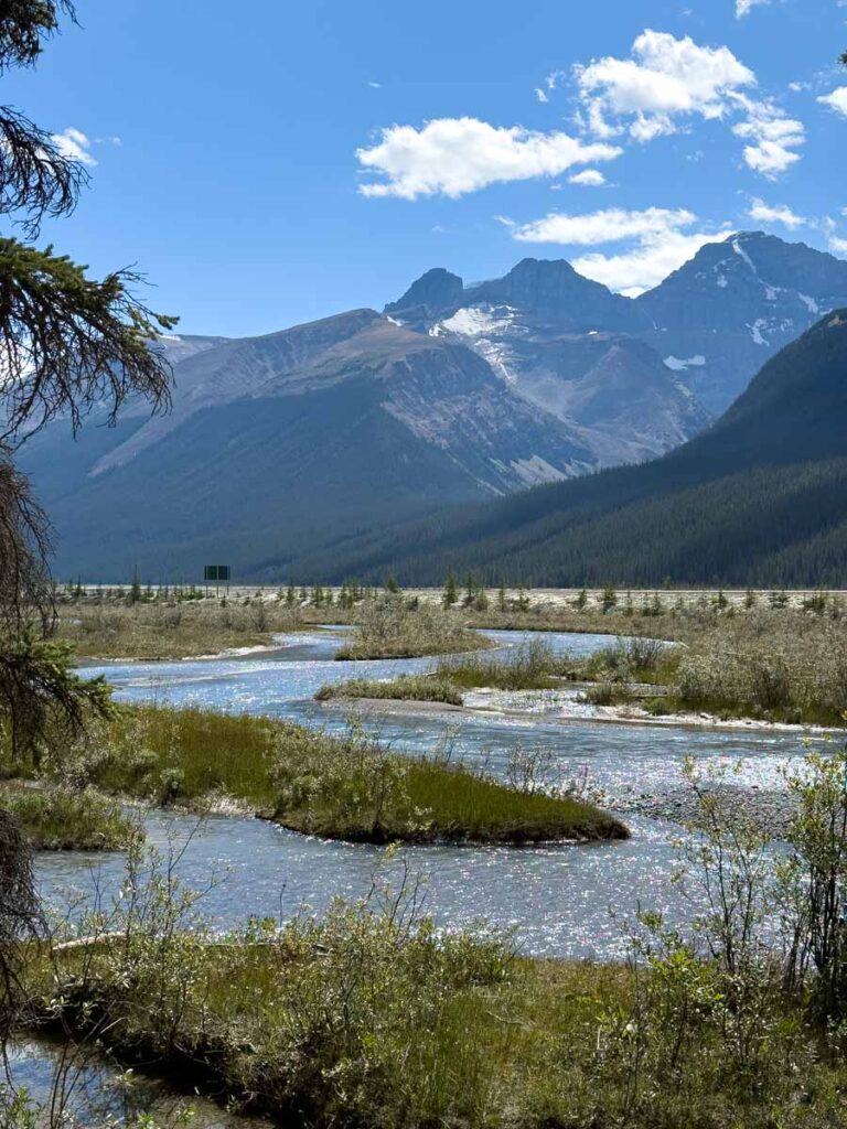 Beautiful mountains surround Beauty Creek along the Icefields Parkway in Jasper.