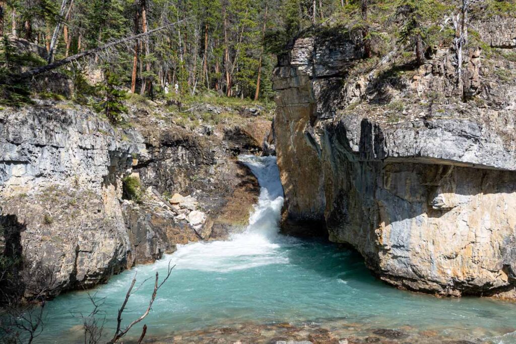 One of the many waterfalls you see on Beauty Creek during the hike to Stanley Falls.