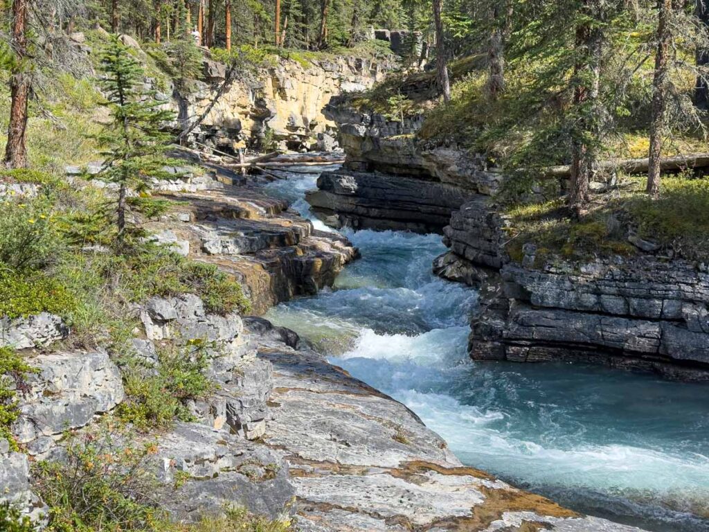 The Beauty Creek to Stanley Falls trail is one of the most enjoyable short hikes in Jasper!