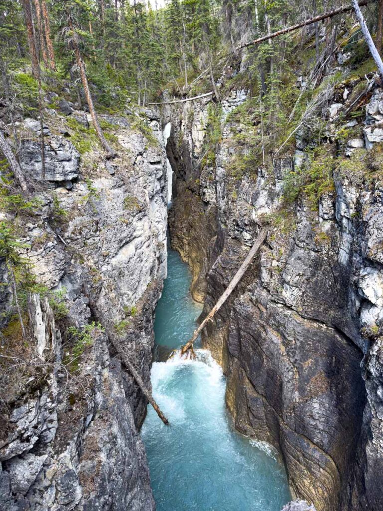 a tall waterfall in a slot canyon on the Beauty Creek to Stanley Falls hike in Jasper.