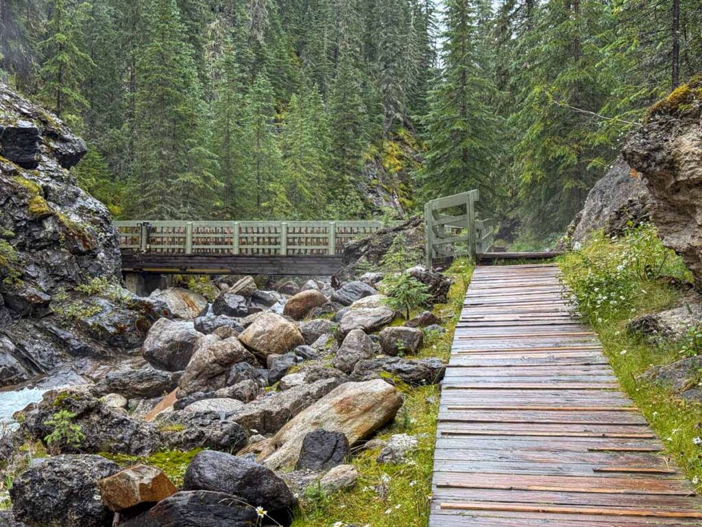 A wooden trail and a bridge cross the natural spring creek on the Source of the Springs hike in Miette hot Springs, Jasper.