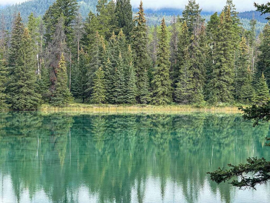 Evergreen trees reflected in the calm waters of Edith Lake, Jasper, Canada.