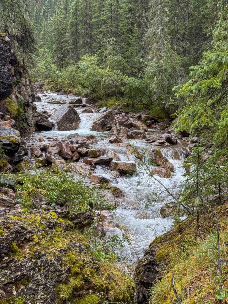 a beautiful waterfall along the Source of the Springs trail - an easy hike in Jasper National Park.